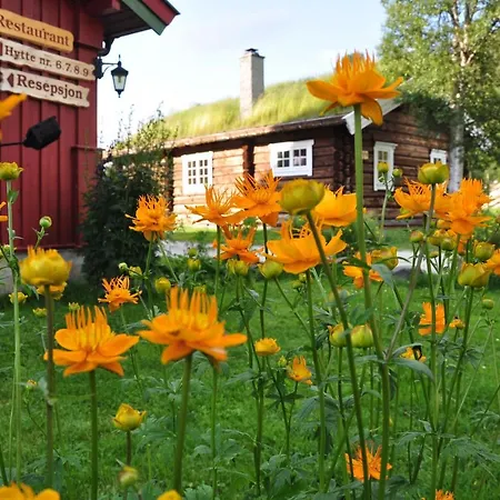 منتزه العطل Rondane Gjestegard *