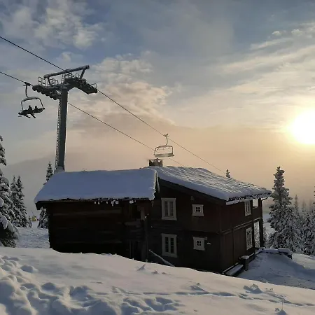 Rondane River - Rondane Gjestegard Ferieparker Enden