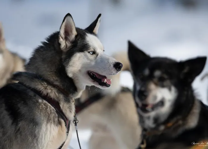 Rondane River - Rondane Gjestegard Holiday park
