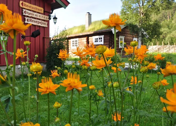 Tatil parkı Rondane River - Rondane Gjestegard *